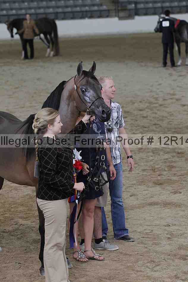 Proof 12r14_0214
