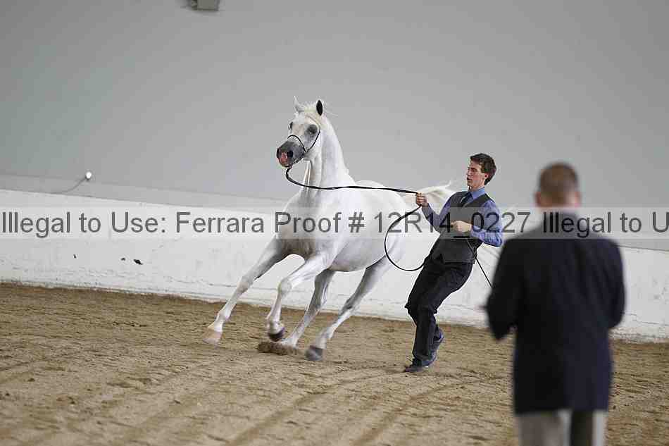 Proof 12r14_0227