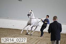 12r14_0227 proof