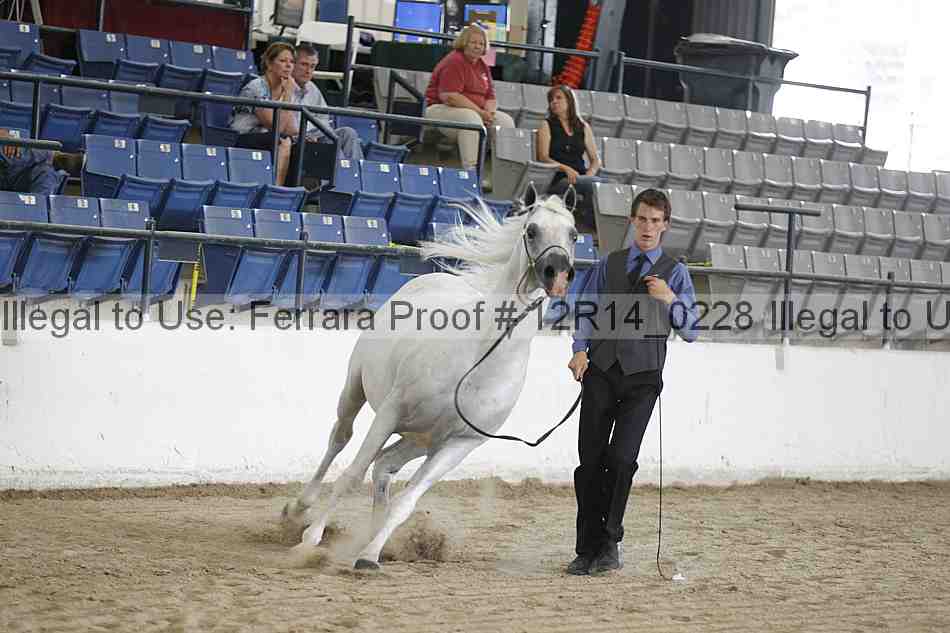 Proof 12r14_0228