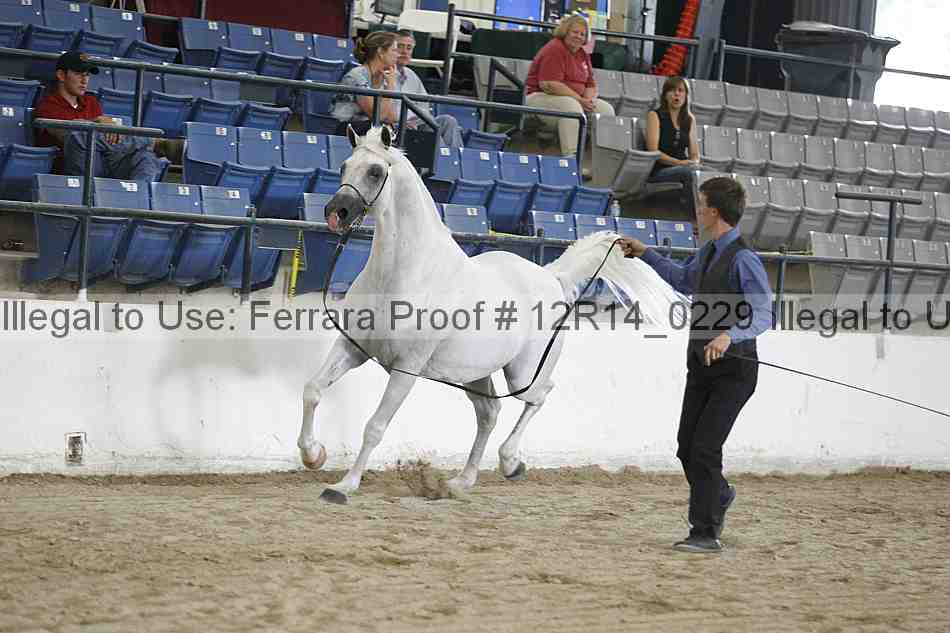 Proof 12r14_0229
