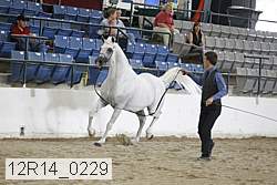 12r14_0229 proof