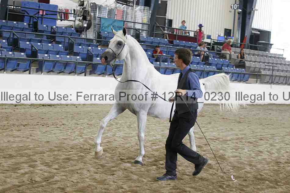 Proof 12r14_0230
