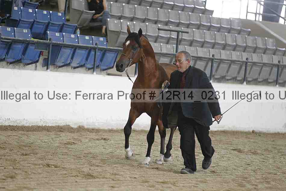 Proof 12r14_0231