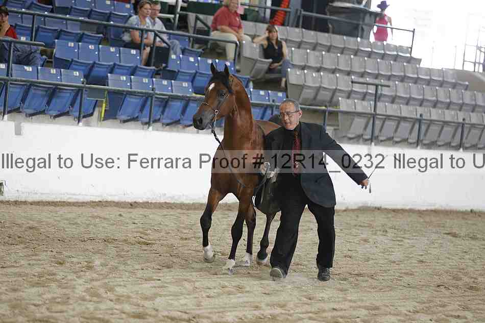 Proof 12r14_0232