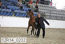 12r14_0232 proof