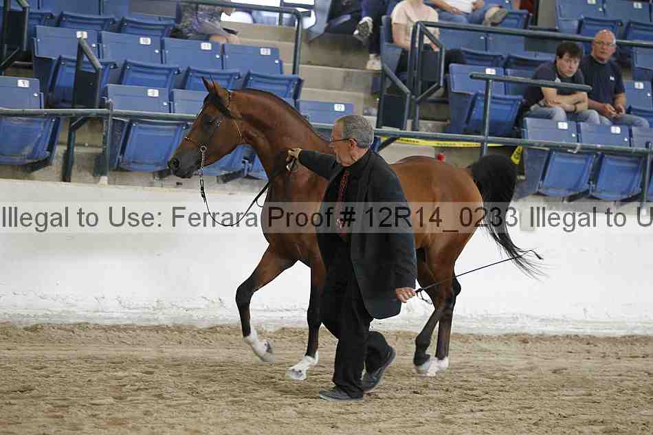 Proof 12r14_0233