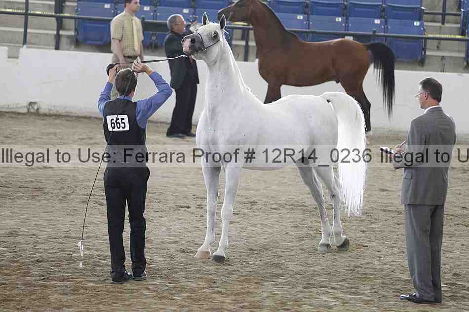 Proof 12r14_0236