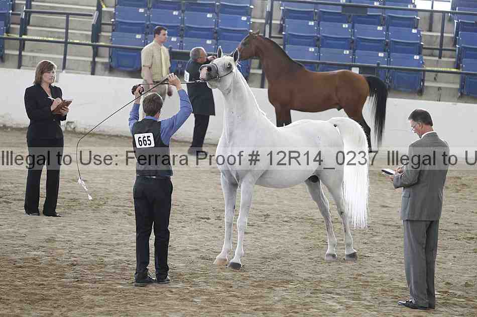 Proof 12r14_0237