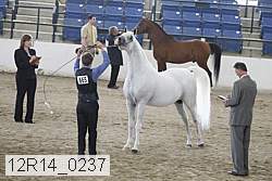 12r14_0237 proof