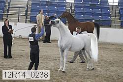 12r14_0238 proof