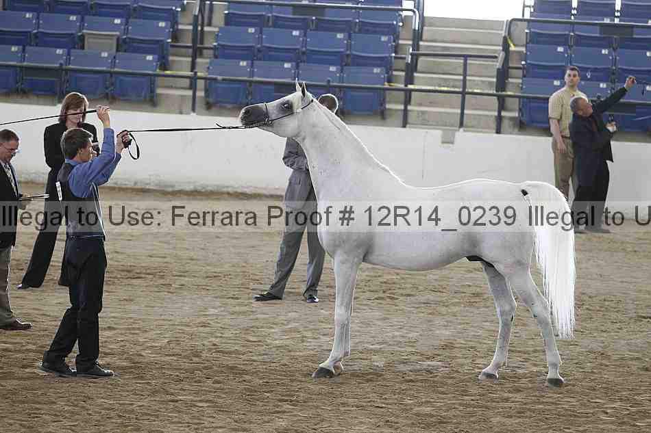 Proof 12r14_0239