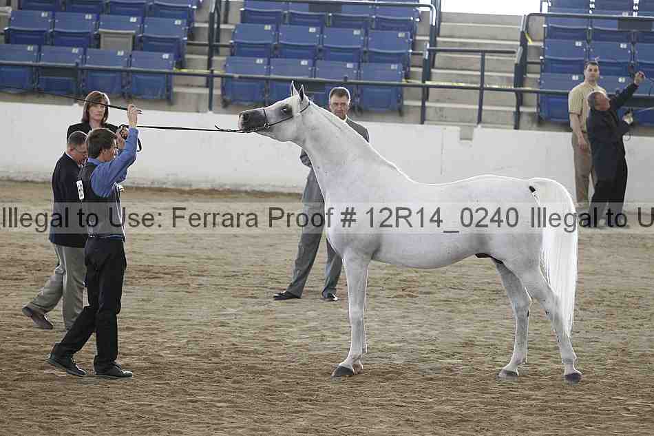 Proof 12r14_0240