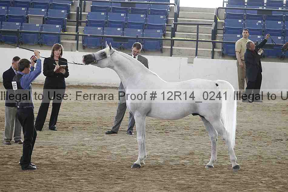 Proof 12r14_0241