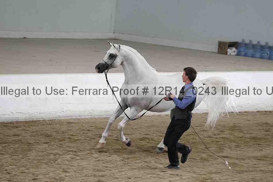 Proof 12r14_0243