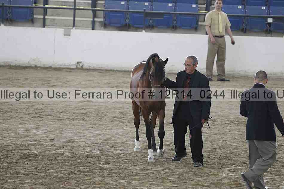 Proof 12r14_0244