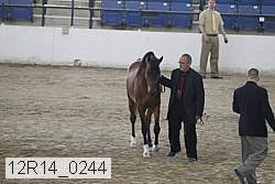 12r14_0244 proof