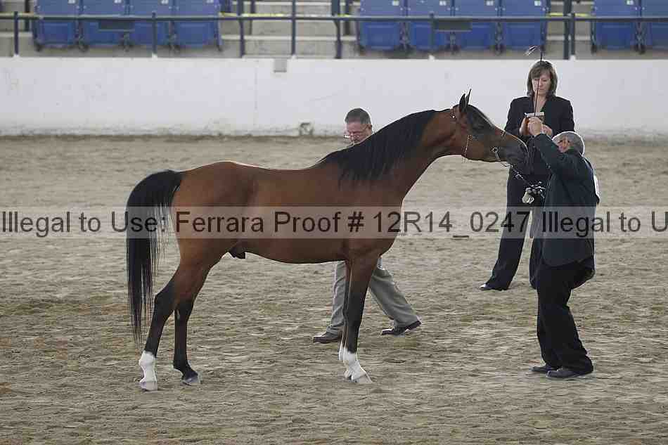 Proof 12r14_0247