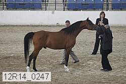 12r14_0247 proof