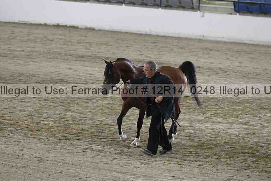 Proof 12r14_0248
