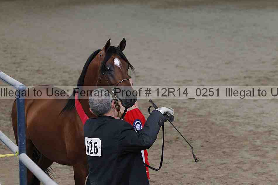 Proof 12r14_0251