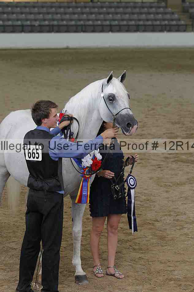 Proof 12r14_0255