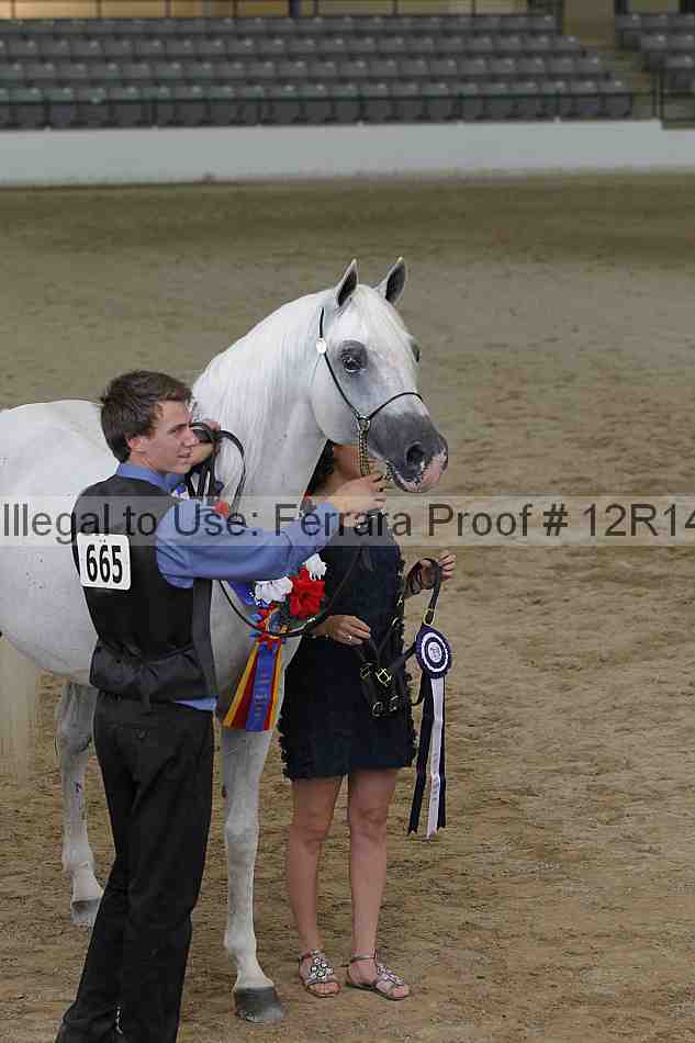 Proof 12r14_0256