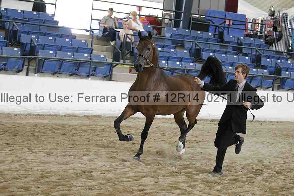 Proof 12r14_0271