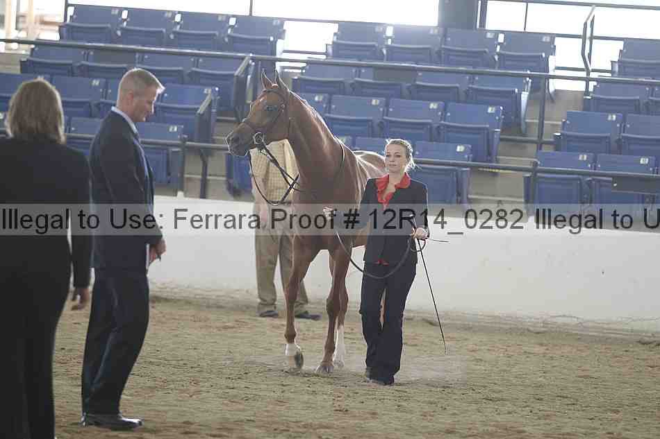 Proof 12r14_0282