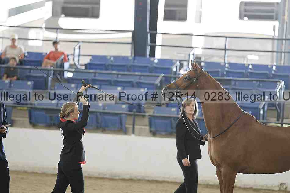 Proof 12r14_0283