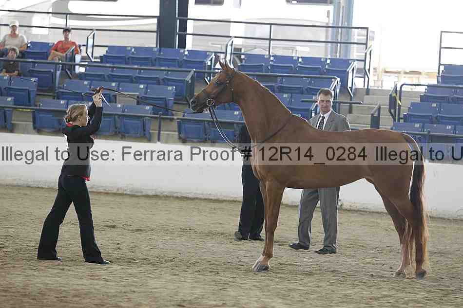 Proof 12r14_0284