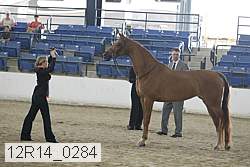 12r14_0284 proof