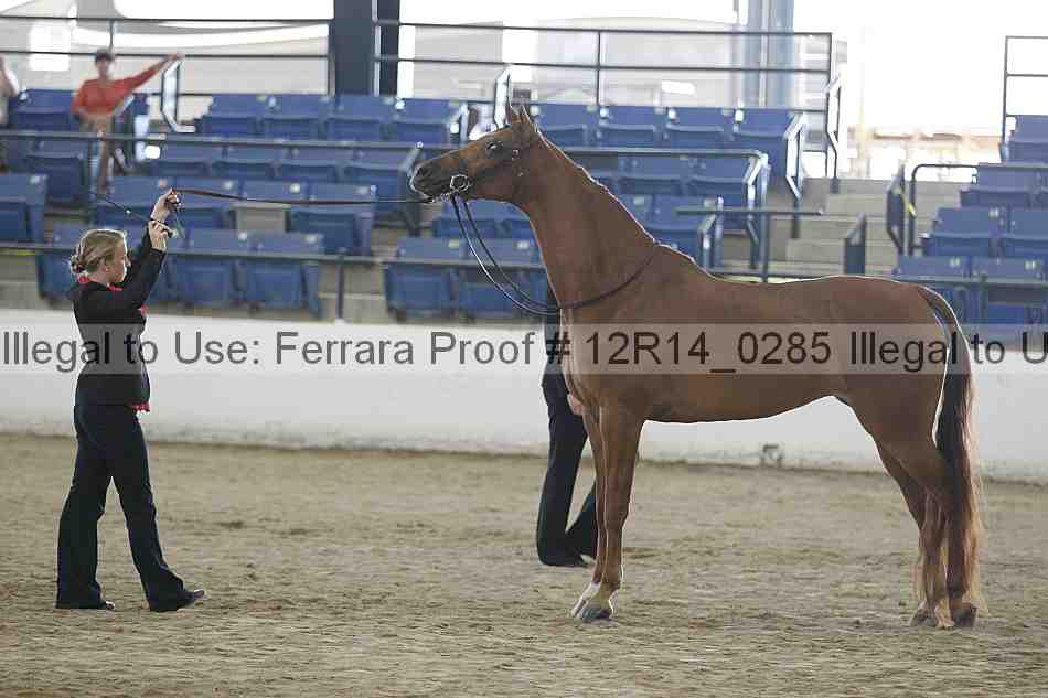 Proof 12r14_0285