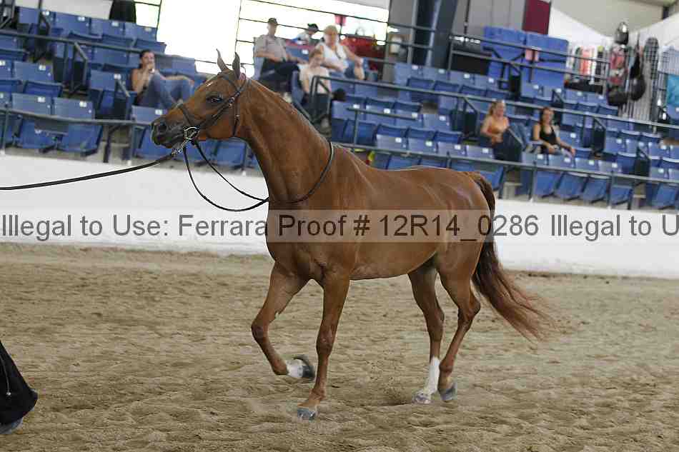 Proof 12r14_0286