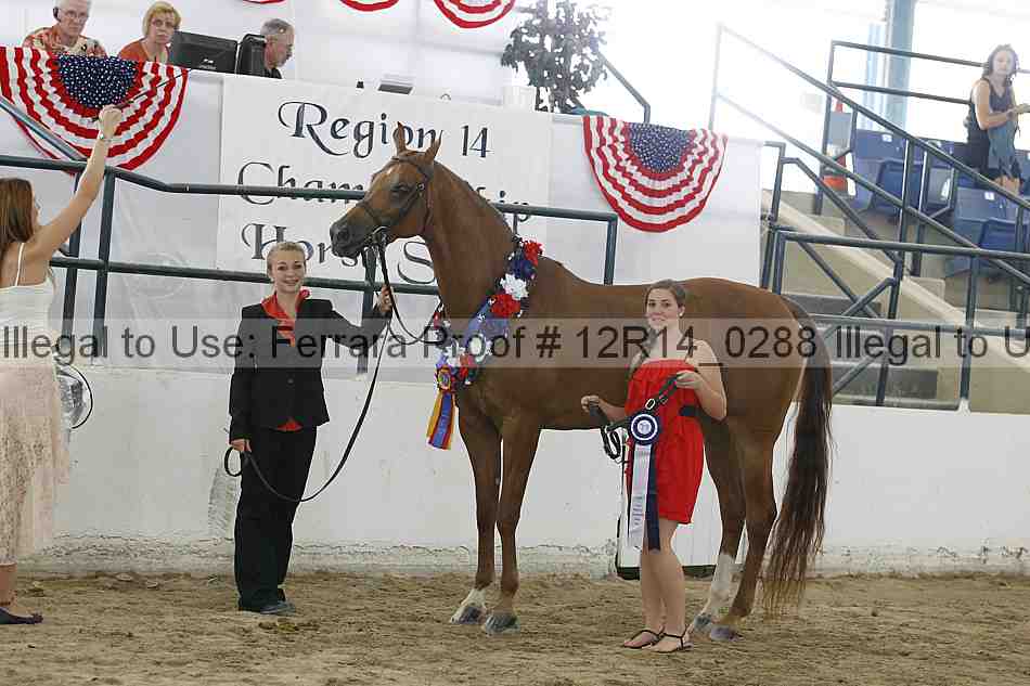 Proof 12r14_0288
