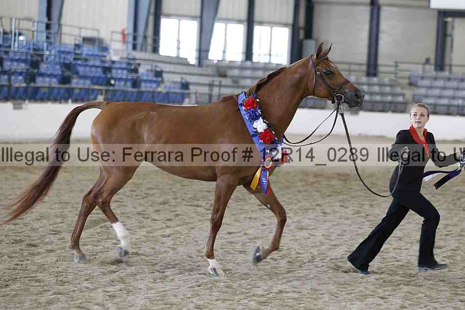 Proof 12r14_0289