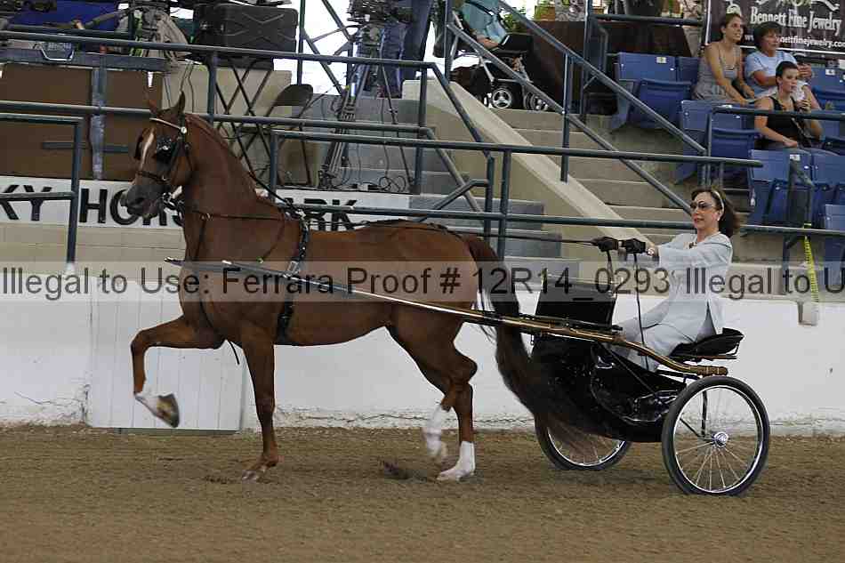 Proof 12r14_0293
