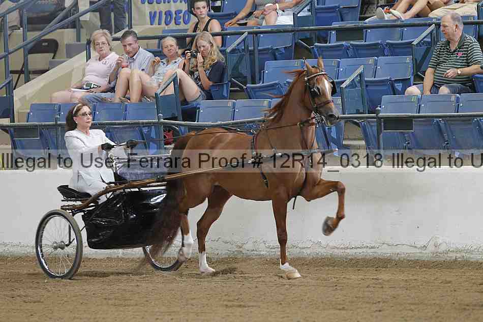 Proof 12r14_0318