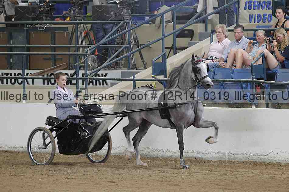 Proof 12r14_0319