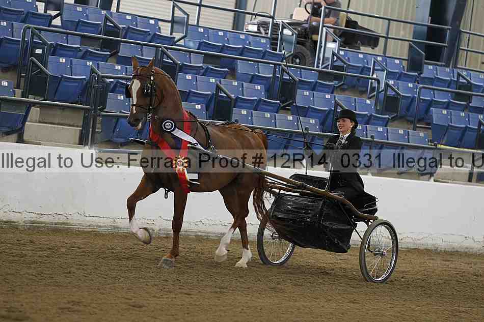 Proof 12r14_0331