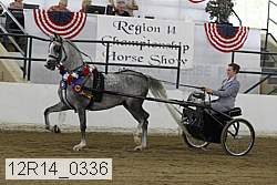 12r14_0336 proof