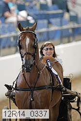12r14_0337 proof