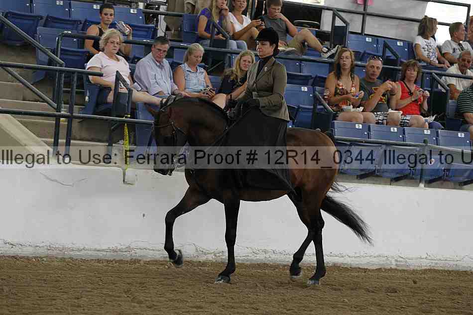 Proof 12r14_0344