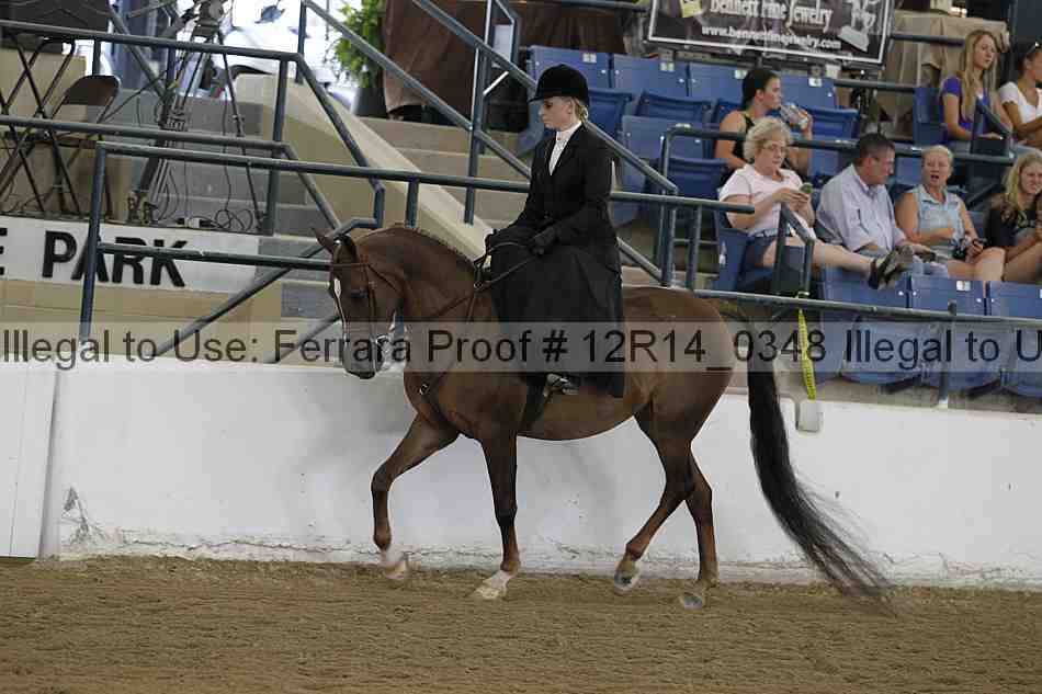 Proof 12r14_0348