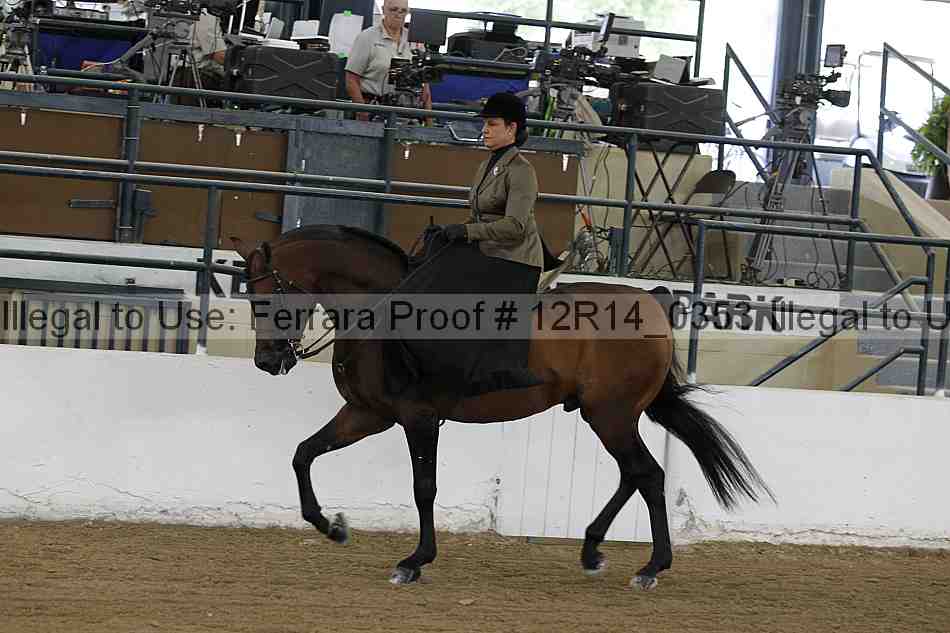Proof 12r14_0353