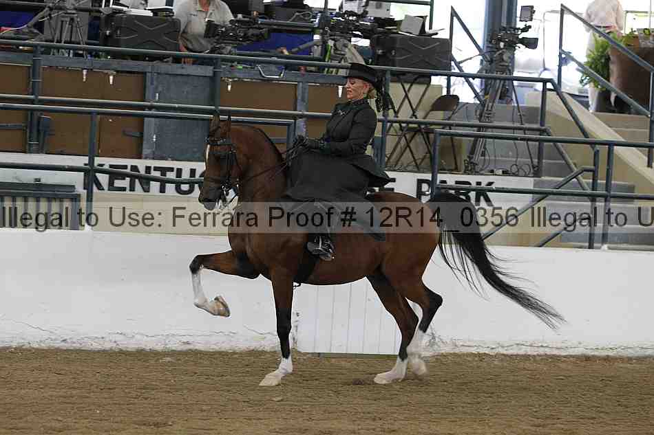 Proof 12r14_0356