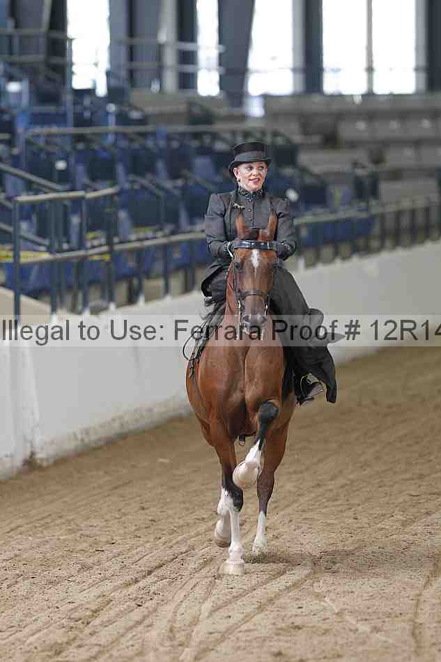 Proof 12r14_0358