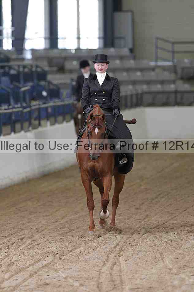 Proof 12r14_0364