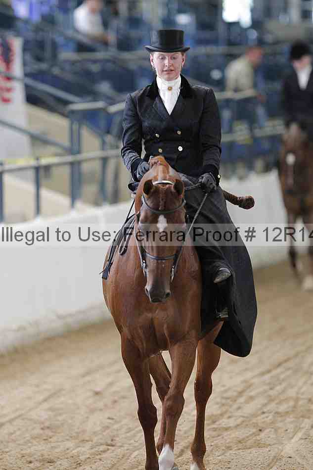 Proof 12r14_0366