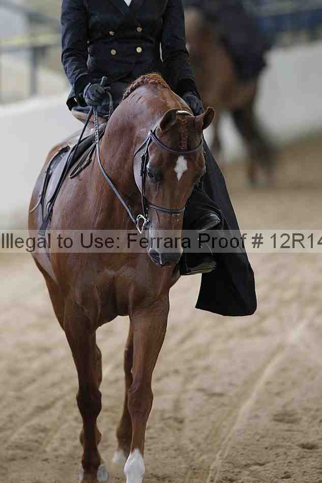 Proof 12r14_0367